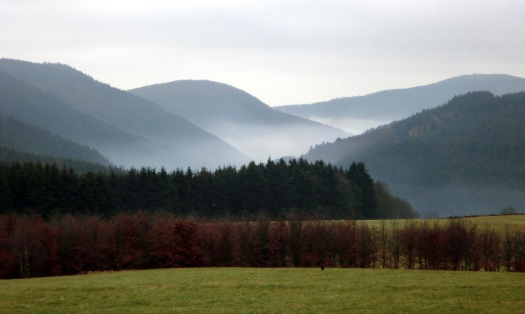 Landhaus Zur Linde Apartment Winterberg Cameră foto